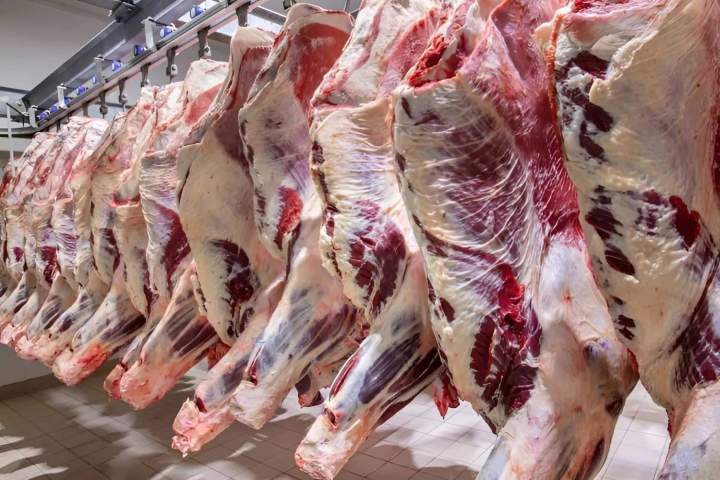 Achat de viande de bœuf L'Isle-Jourdain
