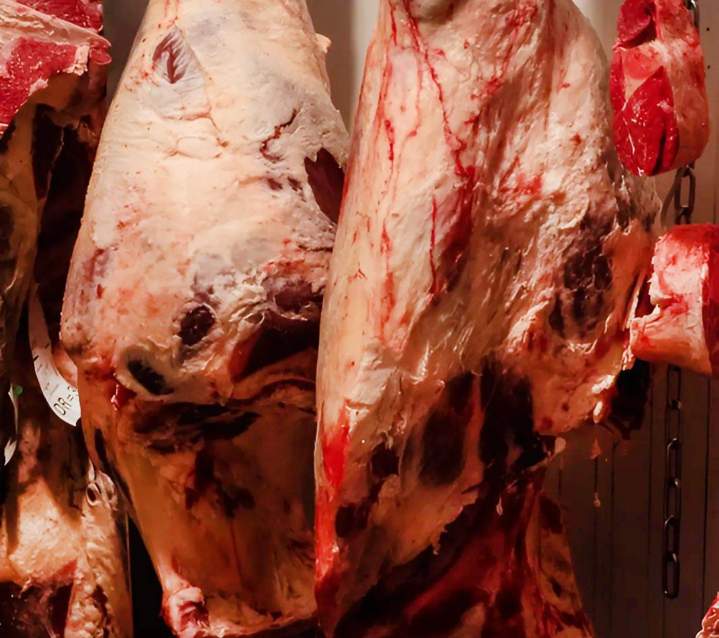 Vente de viande de bœuf L'Isle-Jourdain